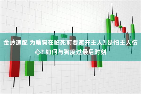 金岭速配 为啥狗在临死前要避开主人? 是怕主人伤心? 如何与狗度过最后时刻