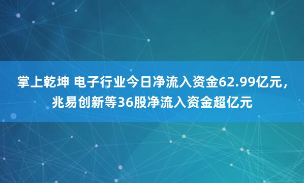 掌上乾坤 电子行业今日净流入资金62.99亿元，兆易创新等36股净流入资金超亿元